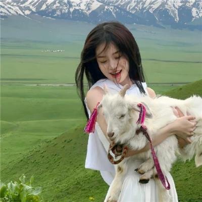 我的小牛与总统